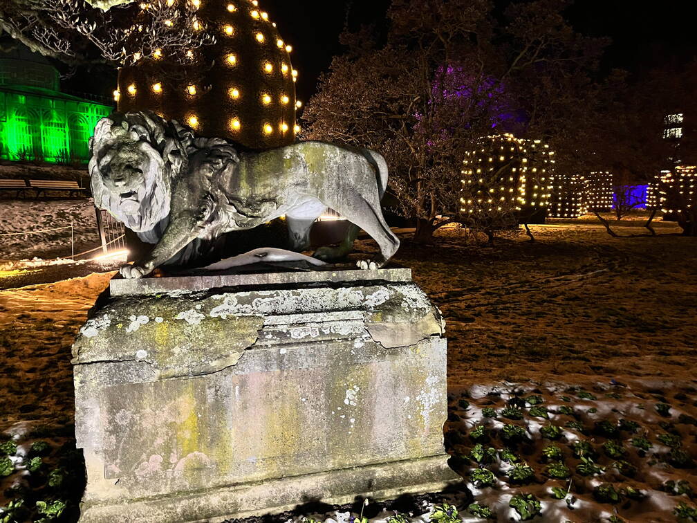 22-12-19 20-07-45 3684